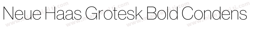 Neue Haas Grotesk Bold Condensed字体转换